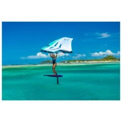 Aile De Wing Duotone Slick Mint/White -Dakine Soldes Boutique d2e9d5870bba3590a3d1aefd1c29f101585b54b4 E23DUOTWAT3399392 903