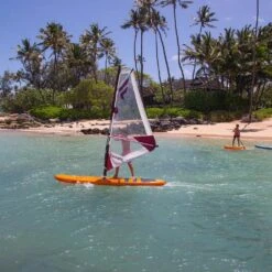 Voile De Windsurf Fanatic Rig Ripper -Dakine Soldes Boutique fa6993210a31c10674226efe82774f38e143b383 H22FNATWAT346095 12